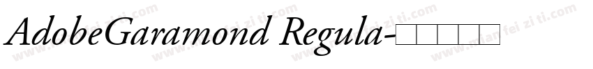 AdobeGaramond Regula字体转换